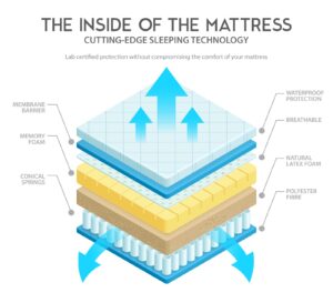 the insise of the mattress